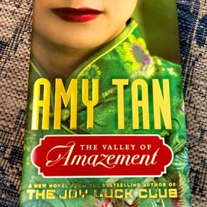 Popular novel